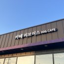 카페 리브어스 네이버블로그