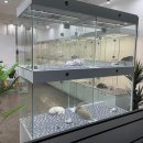 마리켄넬 이미지