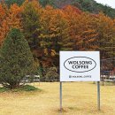 월송석화로 이미지