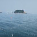 제주 서귀포 쇠소깍 | 쇠소깍 남진호 배낚시 체험 솔직후기 제주 서귀포 선상낚시 처음이라면 이곳 강추!