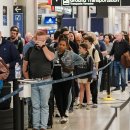 pet52나5263 이미지