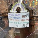 구영 고양이 무마취 미용 | 대전고양이미용 미쓰고양이 무마취 미용 후기