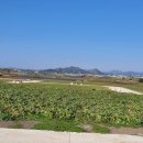 상모리-13 이미지