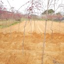 홍정농장 이미지