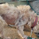 동군산로 이미지