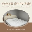 대구 꼴라보 침대, 세사리빙 이불 구매 후기