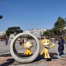 동탄센트럴파크 풋살구장 이미지