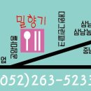 밀향기 이미지