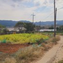 진산목장 이미지