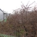 추학보건진료소 이미지