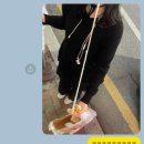 새뜻하게 이미지