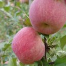 만수3동-15 이미지