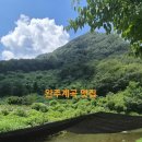 통발 | [완주계곡맛집] 친구 3명이서 떠난 계곡 피서! '연석산가든' 백숙 먹고 통발로 물고기 잡은 솔직 후기