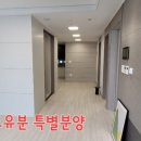 센텀게스트하우스