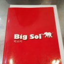 빅소이<BIG SOI>