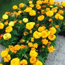 순천게스트하우스 도란도란 이미지