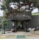 산약초 | 산약초 샤브샤브 금산맛집 이색 보양식 솔내음