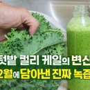 정직한녹즙