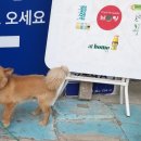신내매운탕
