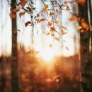 1043 | 사랑 명상 1043