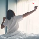 게으른 날 이미지