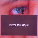 하나소망 | 믿음 소망 사랑 그 중에 제일은 태민 : 태민 콘서트 후기