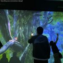 하이멍그라미 | 요코하마 신상 명소! 원더리아 요코하마 예매 방법과 꿀팁