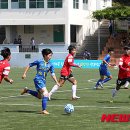 십리대밭 축구장 이미지