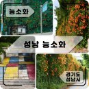 금광1동제1공영주차장 | 이렇게 사람 없는 능소화 폭포라니? / 성남 희망대공원, 황송마을아파트 - 실시간