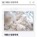 현충원로(유성-21) 이미지