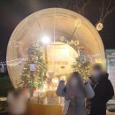 24시빨래터 | 대구 겨울 가볼만한곳 2024 앞산 겨울정원 앞산빨래터공원 크리스마스 축제