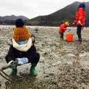 위도횟집 이미지