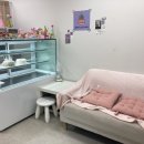 에코이뷰 이미지