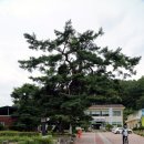 증산초교 이미지