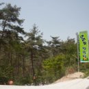 아리솔캠핑장 이미지