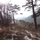 왕산목장 이미지