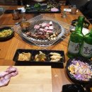고기극찬수영
