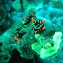 바다랜드 이미지