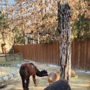 뿌빠노래타운 이미지