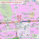 에스에프지 네이버블로그
