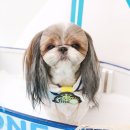 메이그루밍 이미지