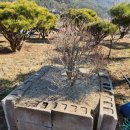 공룡공인중개사사무소 이미지