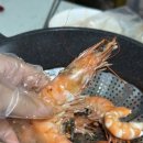 땅끝뻘낙지 | 생대하 주문, 땅끝매일수산에서 청정 새우 맛보기 (해남 새우 파는곳)