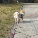 온양동물병원 이미지