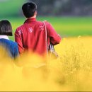 관식이 농장 티스토리