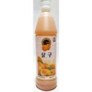 청솔 이미지