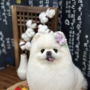 개운한날 이미지