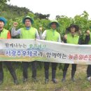 광주우체국 이미지