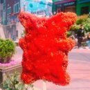 감천17-2 이미지