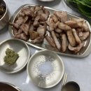 청담미트 항정살 후기 – 캠핑고기로 딱 좋은 국내산 돼지고기
